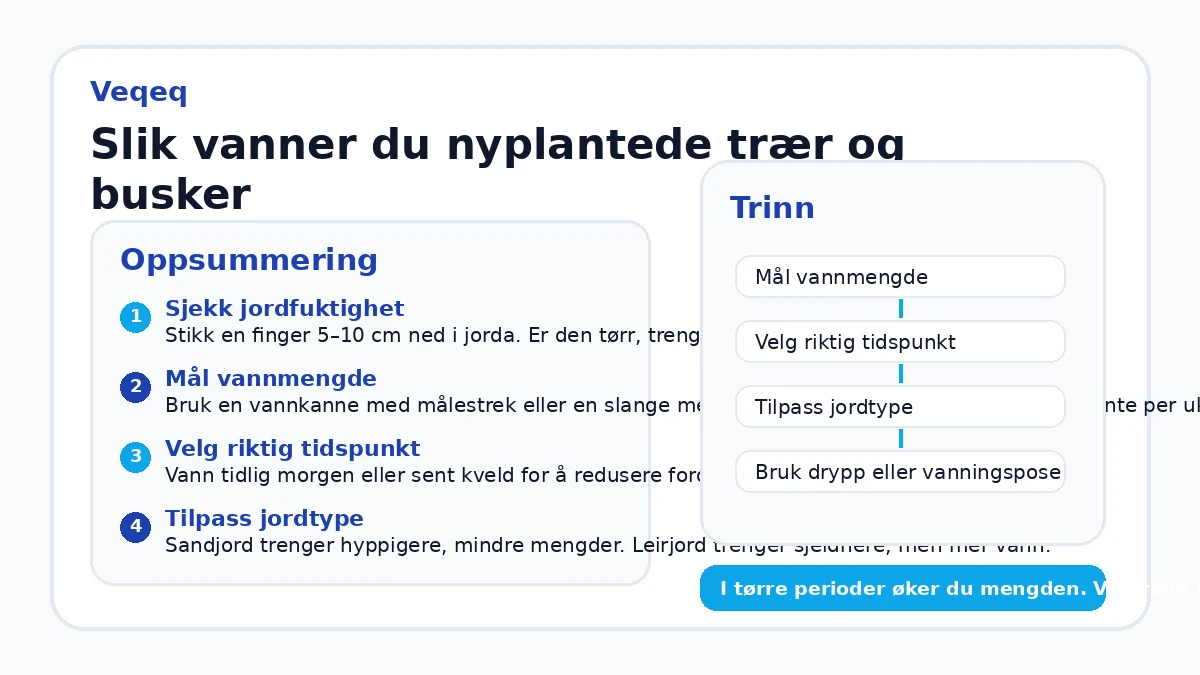 Slik vanner du nyplantede trær og busker