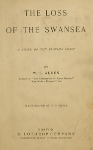 Cover of The loss of the Swansea — Key Ideas to Explore